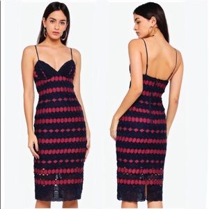 Bardot Navy Burgundy Lace Midi Bustier Dress